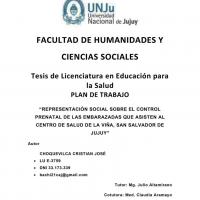 Representación social sobre el control prenatal de las embarazadas que asisten al Centro de Salud de La Viña, San Salvador de Jujuy