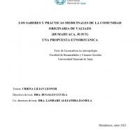 Los saberes y prácticas medicinales de la comunidad originaria de Valiazo (Humahuaca, Jujuy): una propuesta etnobotánica