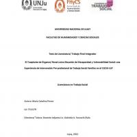 El trasplante de órganos/renal como situación de discapacidad y vulnerabilidad social: una experiencia de intervención pre-profesional de Trabajo Social Familiar en el CUCAI-JUY