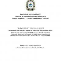 Reconstrucción de la ruta crítica realizada por la mujer que sufre violencia de género: estudio de caso desde la perspectiva del Programa de Atención Integral a la Violencia de Género en la Secretaria de Paridad de Género, dependiente del Ministerio de Desarrollo Humano de la Provincia de Jujuy, periodo 2019-2021