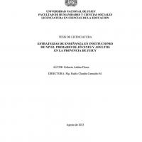 Estrategias de enseñanza en instituciones de nivel primario de jóvenes y adultos en la provincia de Jujuy